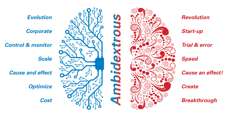 دوسوتوانی سازمانی (Ambidextrous Organization): کلید طلایی بقا و نوآوری همزمان